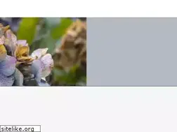 Sites similar to blickpunktx.de