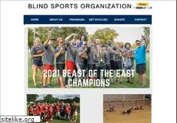 Sites similar to blindsports.org