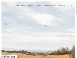 Sites similar to blixtco.com