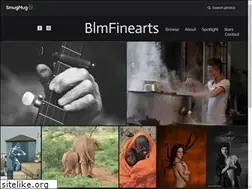 Sites similar to blmfinearts.com