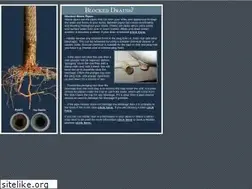 Sites similar to blockeddrainbrisbane.com