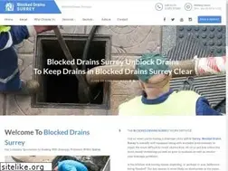 Sites similar to blockeddrains-surrey.uk