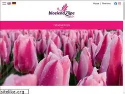 Sites similar to bloeiendzijpe.nl