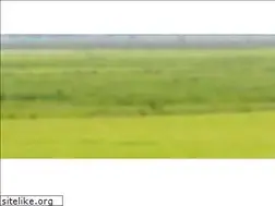 Sites similar to bloeiing.nl