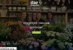 Sites similar to bloemsierkunstilse.nl