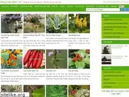 Sites similar to blogcaycanh.vn