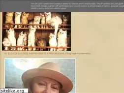 Sites similar to blogdeloles2.blogspot.com