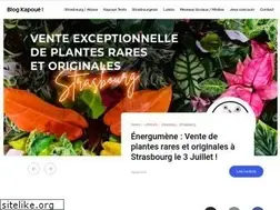 Sites similar to blogkapoue.com