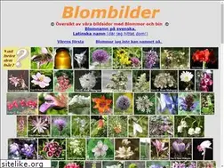 Sites similar to blombilder.se