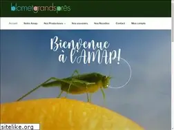 Sites similar to blometgrandspres.org
