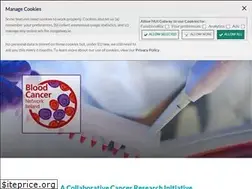 Sites similar to bloodcancers.ie