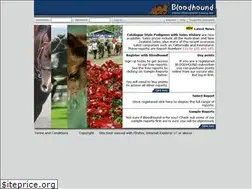 Sites similar to bloodhound.net.au