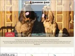 Sites similar to bloodhoundranch.com