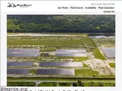 Sites similar to bloom-masters.com