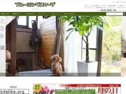 Sites similar to bloom-s.co.jp