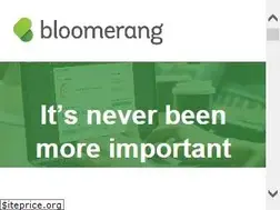 Sites similar to bloomerang.com