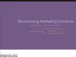 Sites similar to bloomerangsolutions.com