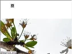 Sites similar to bloomidea.com
