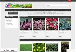 Sites similar to bloomindesigns.com