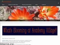Sites similar to bloomingatacademyvillage.org