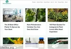 Sites similar to bloomingfieldsfarm.com