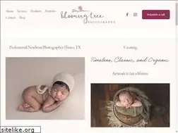 Sites similar to bloomingtreephotography.com