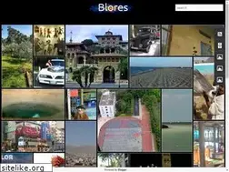 Sites similar to blores.com