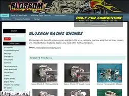 Sites similar to blossomracingengines.com