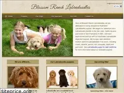 Sites similar to blossomranchlabradoodles.com