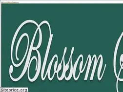 Sites similar to blossomshopcolumbiasc.com