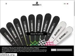 Sites similar to blossomski.com