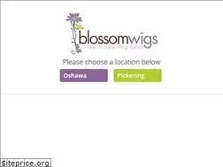 Sites similar to blossomwigs.com
