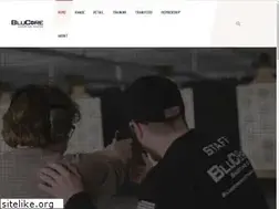 Sites similar to blucore.com