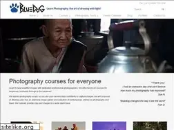 Sites similar to blue-dog.com.au