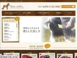 Sites similar to blue-stella.com