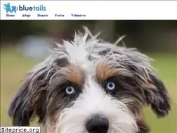 Sites similar to blue-tails.com