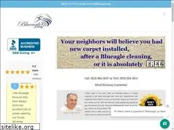 Sites similar to blueaglecleaning.com