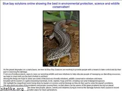 Sites similar to bluebaysolutions.com.au