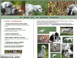 Sites similar to bluebelton.com