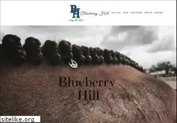 Sites similar to blueberry-hill.net