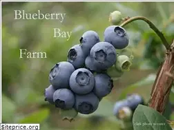 Sites similar to blueberrybayfarm.com