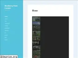 Sites similar to blueberrycanaan.com