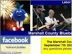 Sites similar to blueberryfestival.org