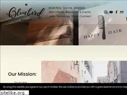 Sites similar to bluebirdsalon.com