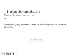 Sites similar to bluebugphotography.com