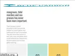 Sites similar to bluecarbonpartnership.org