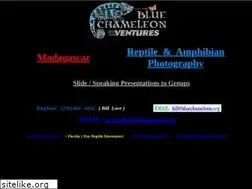 Sites similar to bluechameleon.org