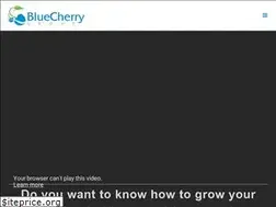 Sites similar to bluecherrygroup.com