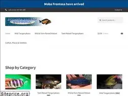 Sites similar to bluechipaquaticsonline.com