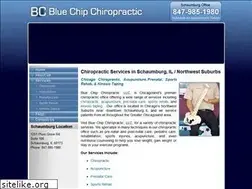 Sites similar to bluechipchiropractic.net